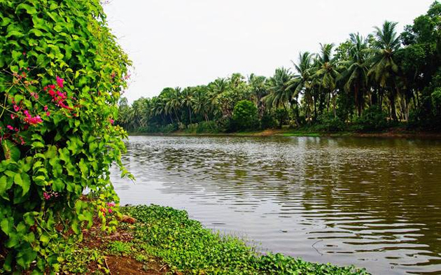 AP Govt announces 25 Tourist Packages AP Govt announces 25 Tourist Packages