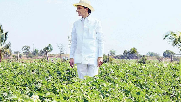 KCRs Veggies sold in Andhra Markets