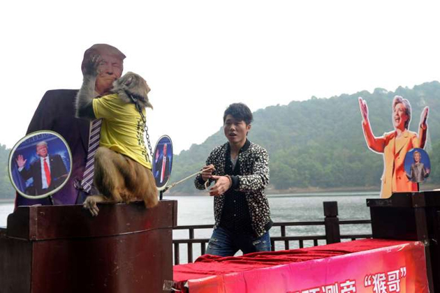 Chinas Monkey King predicts Trumps Win