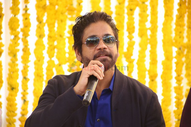 Nagarjunas sensational comments on Career
