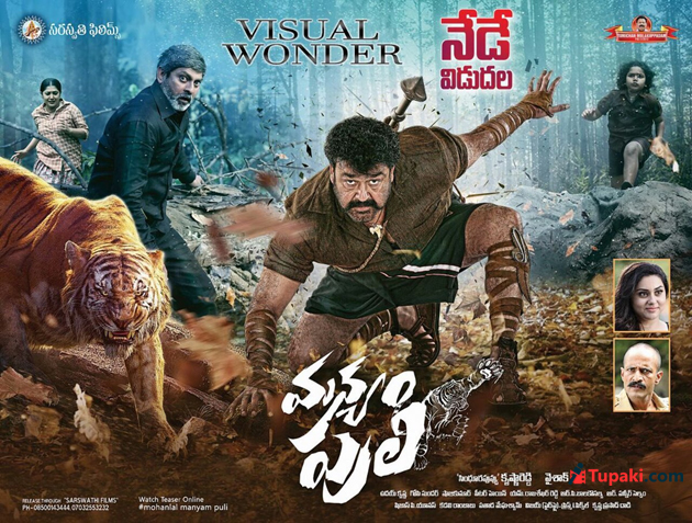 మన్యం పులి