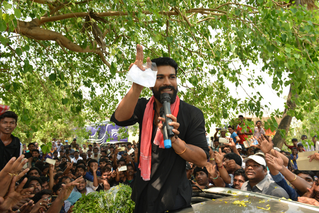 Cherry Film Ahead Of The Schedule!