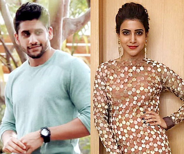 Samantha and Chaitanya too busy to marry?