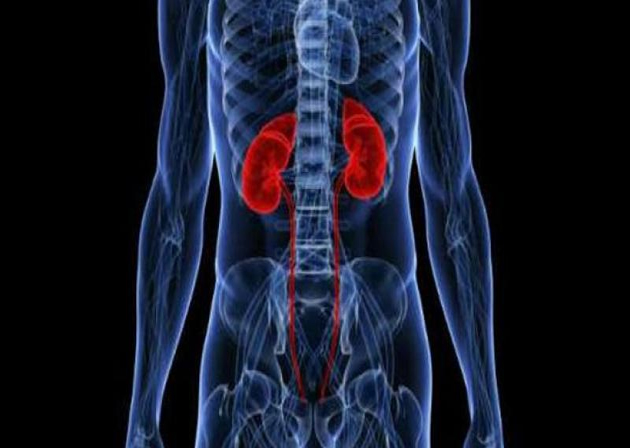 Mystery behind Uddanam Kidney Ailments Mystery behind Uddanam Kidney Ailments