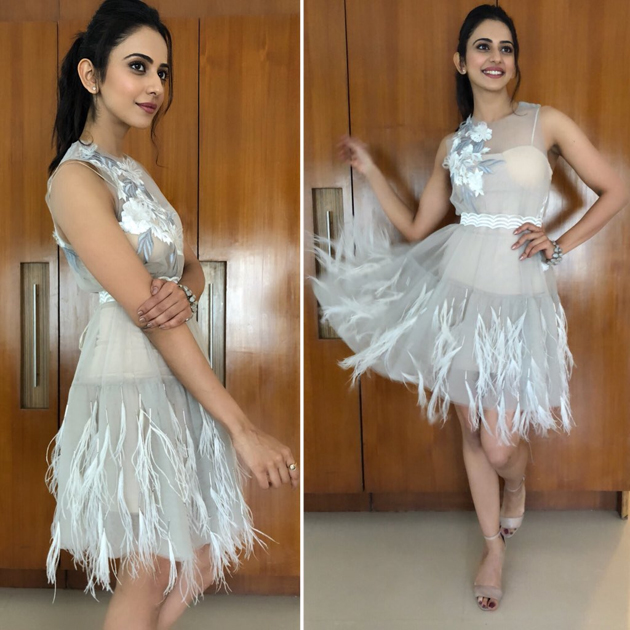 Photo Story: Feather-touch makes her Fly!