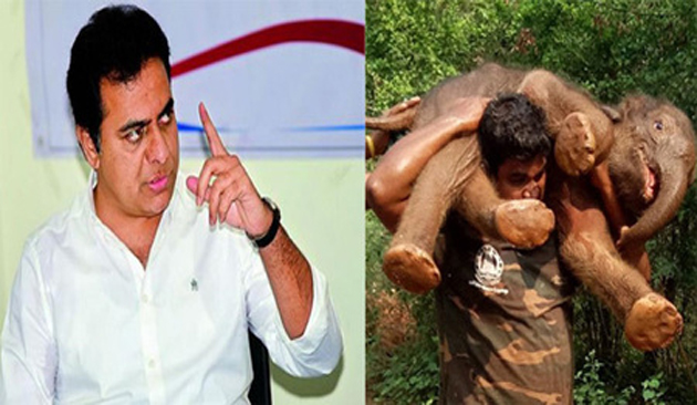 కేటీఆర్ ట్వీట్‌!...అస‌లైన బాహుబ‌లి ఇత‌డేన‌ట‌!