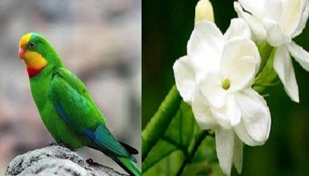 ఏపీ రాష్ట్ర పుష్పం.. రాష్ట్ర ప‌క్షి మారిపోయాయ్‌