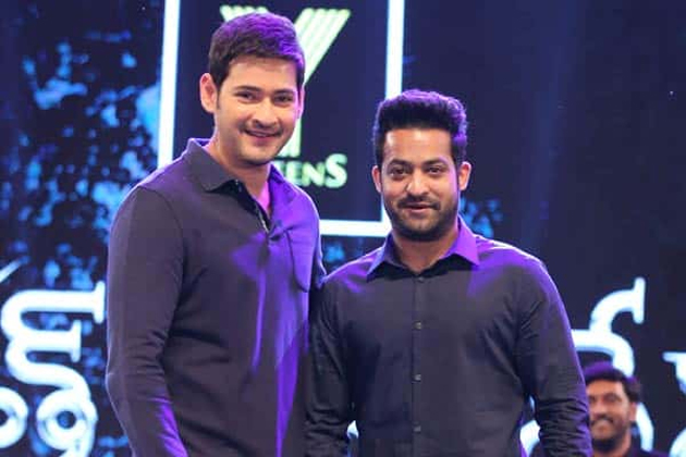 Super Star Wishes Young Tiger