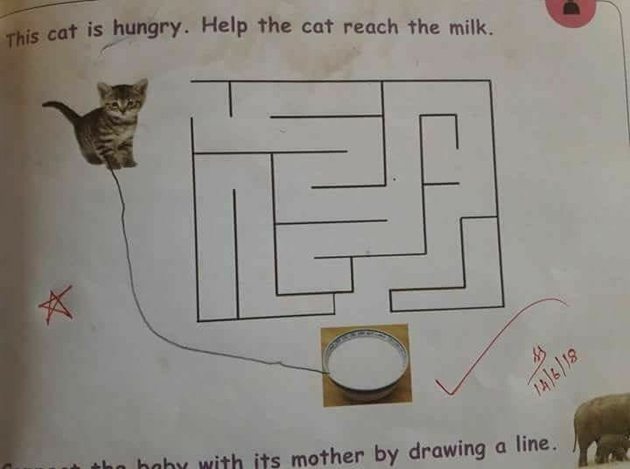 పిల్లాడి ఫజిల్ కు ఫిదా అయిన కేటీఆర్