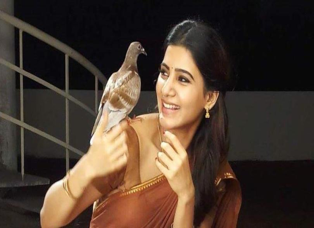 Naga Chaitanyas Wife Takes Martial Arts Training