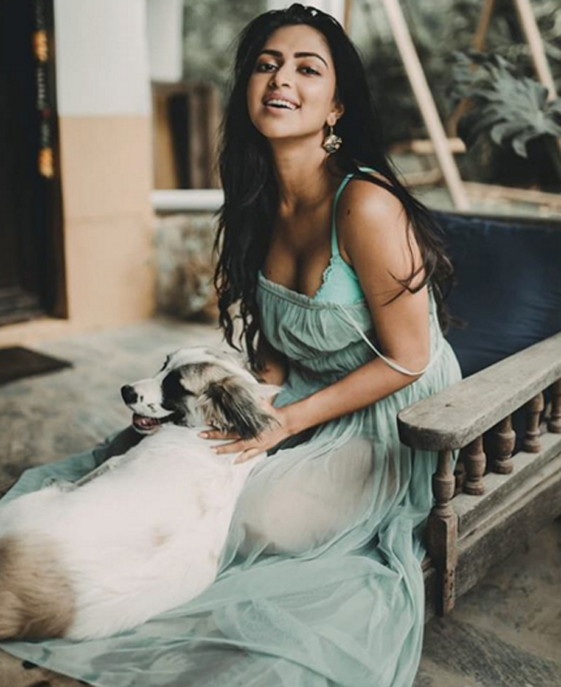 Photo Story: Amala Ups The Glamour Dose!