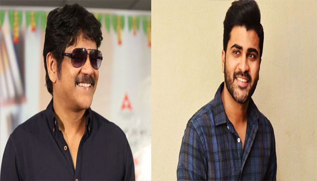 Another Multi Starrer For Nagarjuna?