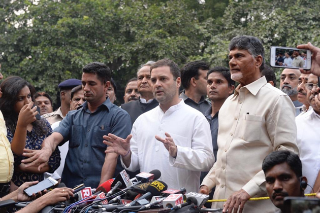 Our Unity Leads To BJPs Defeat: Rahul Assures CBN