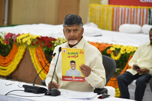 TDP Manifesto For 2019 Elections