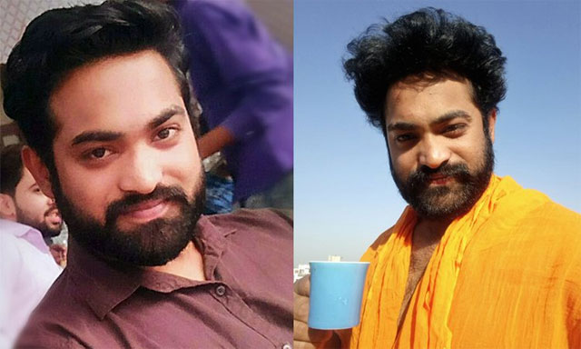 యంగ్ టైగర్ కు పంజాబీ జెరాక్స్!