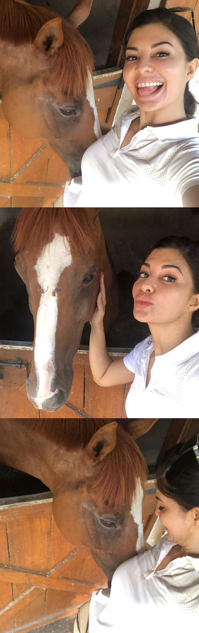 ఫోటో స్టొరీ: ఆశగా ఉన్న గుర్రం.. బ్యూటీ సెల్ఫీ!