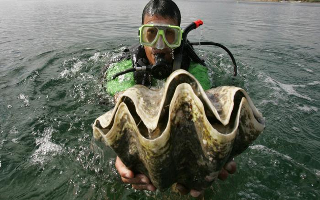 రియాల్టీ షోలో న‌టి చేసిన ప‌నికి ఐదేళ్లు జైలు!