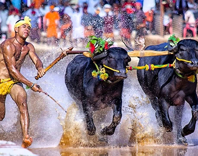 ఏమిటీ కంబళ.. ఇప్పుడు ఎందుకింత హాట్ టాపిక్