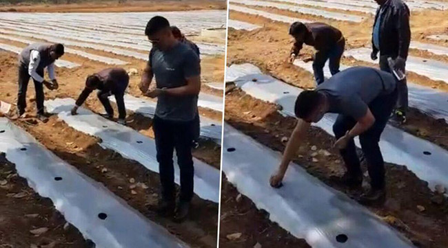 Dhoni To Turn Organic Farmer