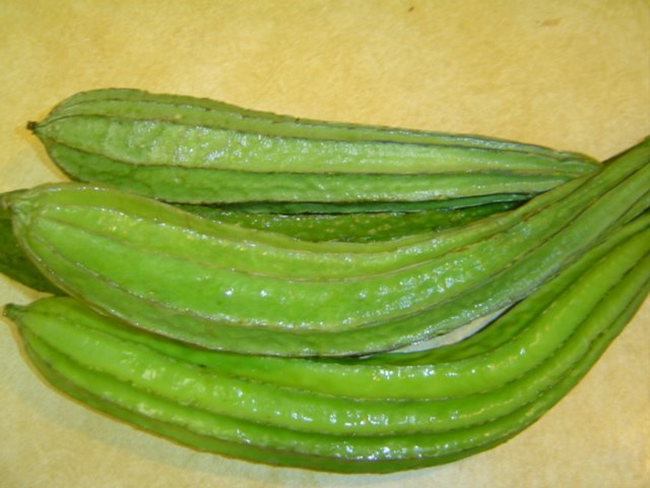 మద్యానికి గుడ్ బై చెప్పించే బీరకాయ ..