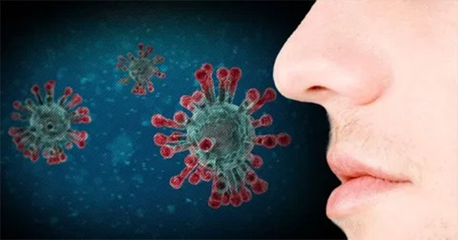Sudden Loss Of Smell Might be a Symptom Of Covid-19: Experts
