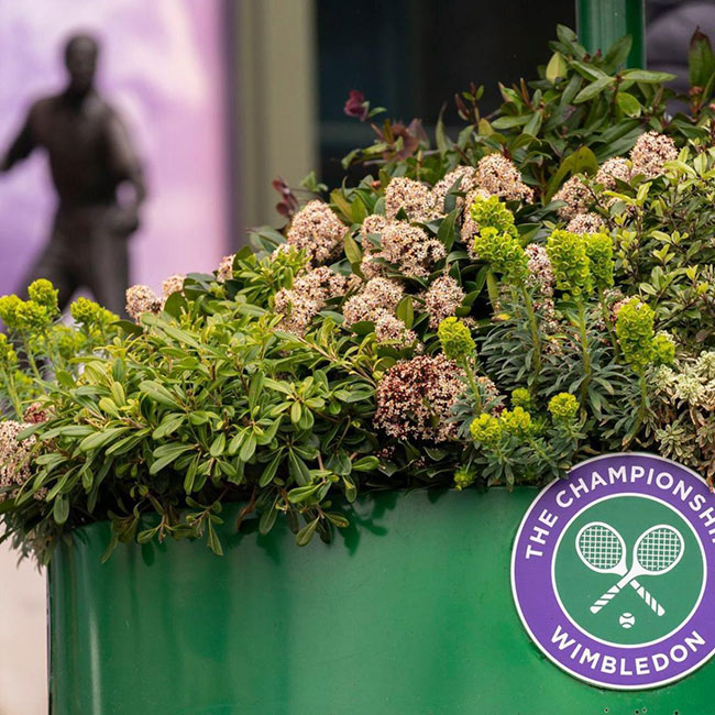 Corona Forces Cancellation of Historic Wimbledon Tourney