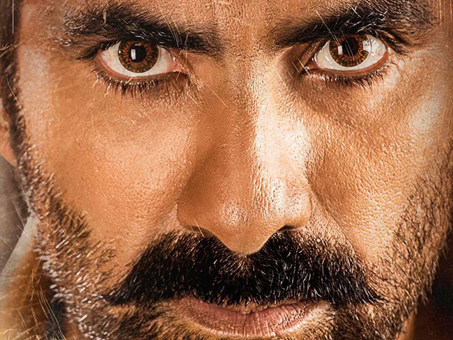 మరోసారి పవర్ ఫుల్ పాత్రలో మాస్ మహారాజ్