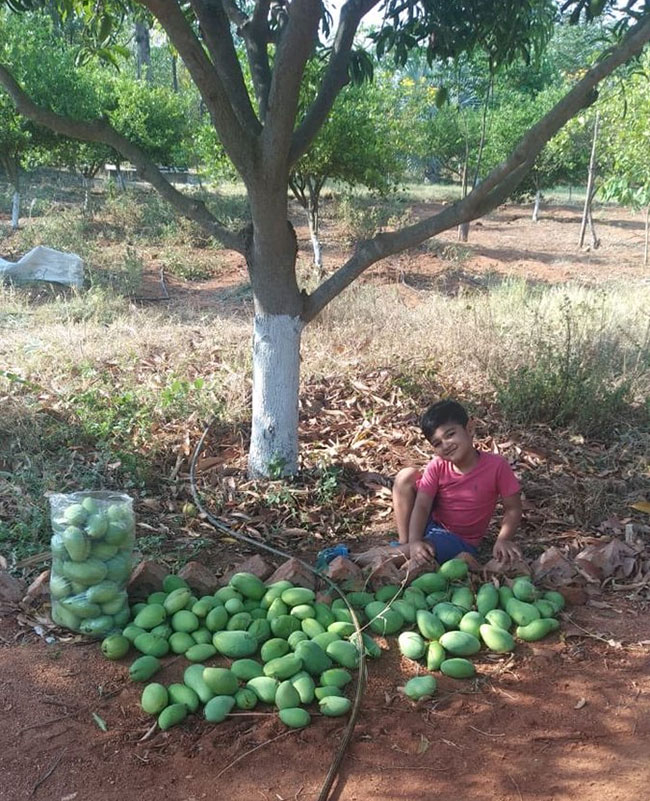 స్టార్‌ నటుడి కొడుకు మామిడి కాయల వ్యాపారి