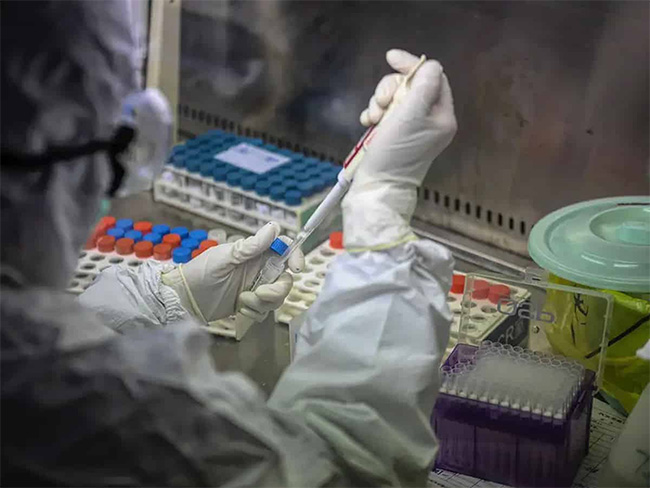 Study Says L-Type Coronavirus Train Is Way More Aggressive Than S-Type Strain Study Says L-Type Coronavirus Train Is Way More Aggressive Than S-Type Strain