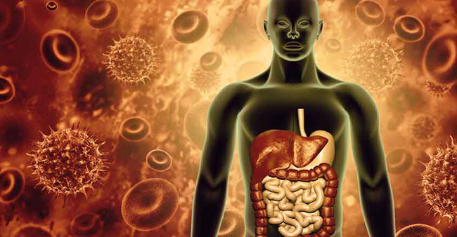 క‌రోనా వైర‌స్ కొత్త మార్పు: ఇప్పుడు పేగుల‌పై కూడా తీవ్ర దాడి