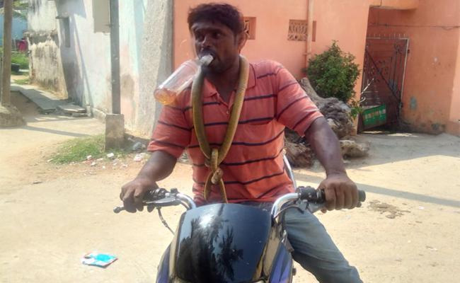 పాముని నోటితో కొరికి  చంపి మేడలో వేసుకున్న ఓ తాగుబోతు ..!
