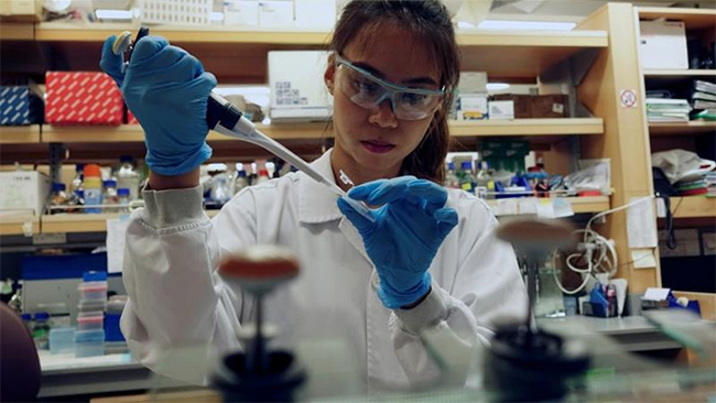 కరోనా వ్యాక్సిన్ లో మరో ముందడుగు .. ఇజ్రాయెల్ కీలక ప్రకటన !