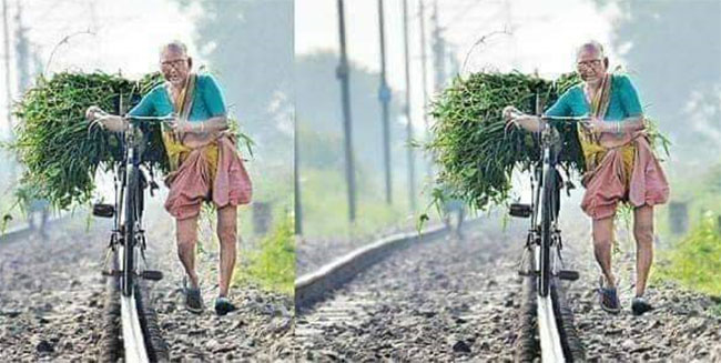 70 ఏళ్ల యలమందమ్మ..జీవితమే ఓ పోరాటం!