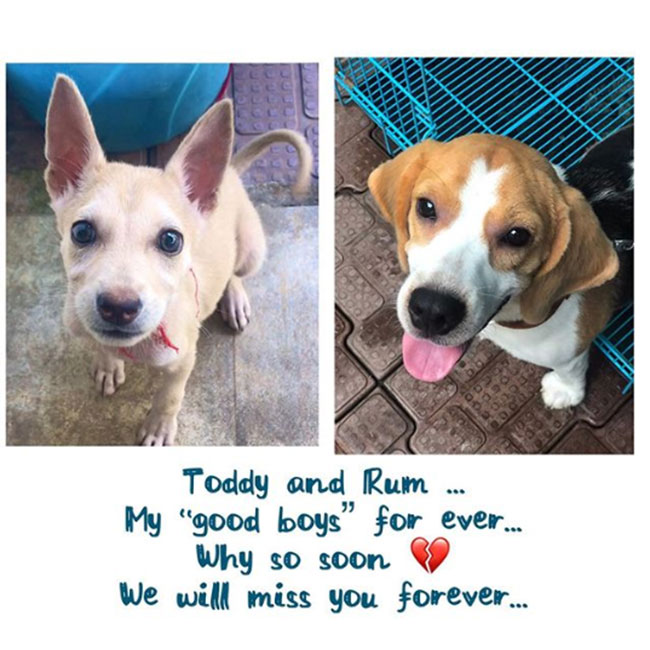 `ర‌మ్`ని కోల్పోయాను `విస్కీ` ఉంది!