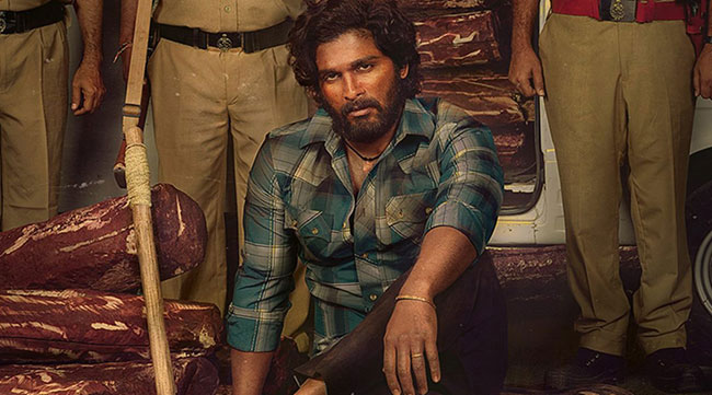 Stylish Stars Plans Shattered Badly!