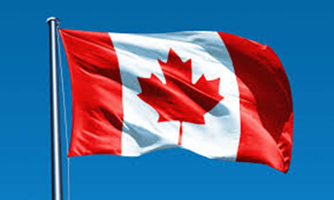 ట్రంప్ ఆంక్షలు ... కెనడా వైపు తొంగిచూస్తున్న టెక్కీలు !