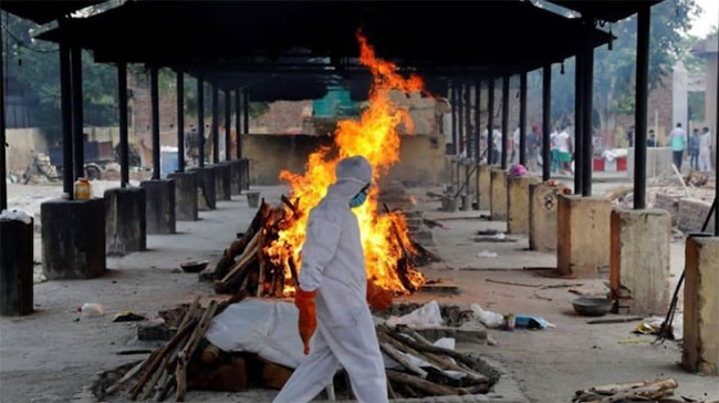 అంత బాగా చదువుకున్నోళ్లు కాటికాపరులా పని చేస్తున్నారా?