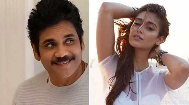 గోవా బ్యూటీకి కింగ్ ఆఫ‌ర్ ఇచ్చారా?