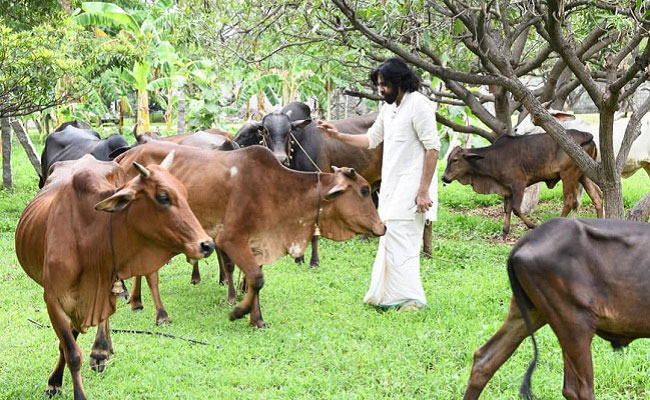 కుక్క మొరిగితే శిఖ‌రం త‌ల తిప్పి చూడ‌దు అంటే ఇదేనా