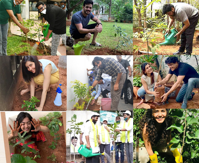 మొక్క‌లు నాటుతున్నారు సరే.. వాటి సంరక్షణ సంగతేంటి...?