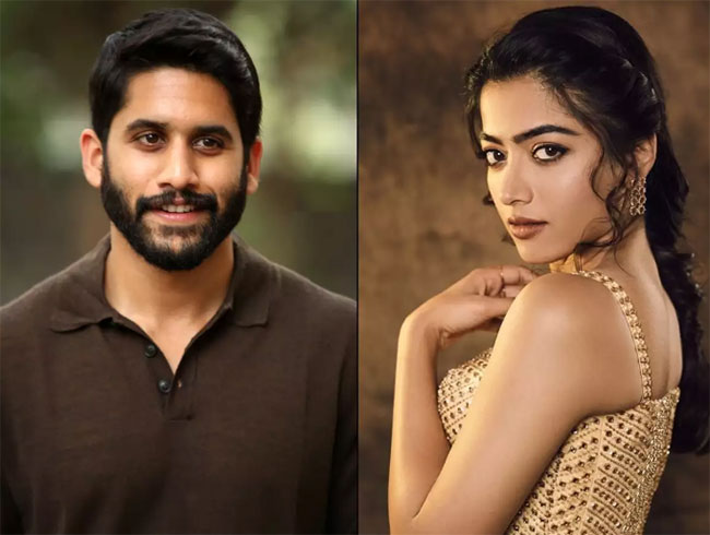 అక్కినేని హీరోతో రొమాన్స్ చేయబోయే బ్యూటీ...?