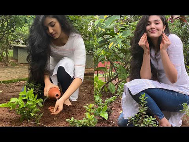 గ్రీన్ ఛాలెంజ్ ని ఉప్పెన‌లా వాడారు!