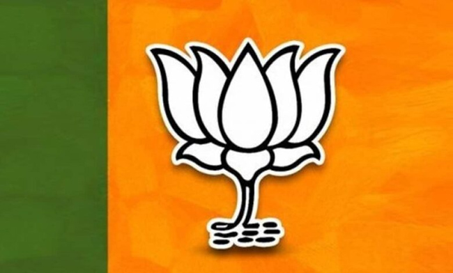 Where Have All The BJP Stars Disappeared?