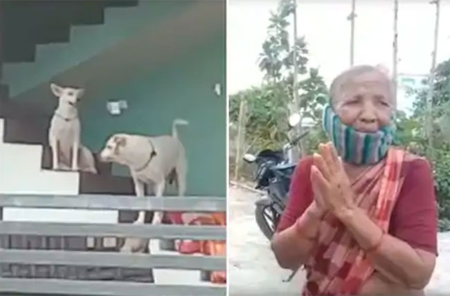 పిడుగురాళ్లలో చోటు చేసుకున్న ఈ అమానుషం తెలిస్తే రక్తం మరుగుతుంది