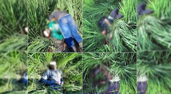 ఐదుగురు చొరబాటుదారులను మట్టుబెట్టిన బీఎస్ఎఫ్ ! ఐదుగురు చొరబాటుదారులను మట్టుబెట్టిన బీఎస్ఎఫ్ !