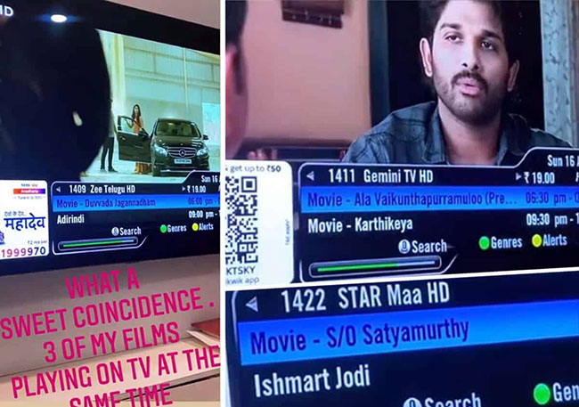 Bunnys Awesome Sunday Evening With His Own Films!