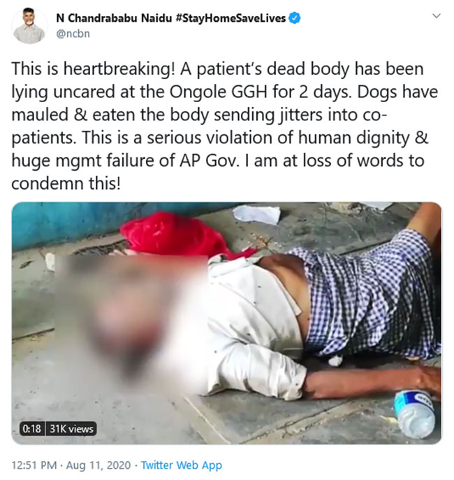 మృతదేహాన్ని కుక్కలు పీక్కుతినడం గుండెని తడిమేసింది: చంద్రబాబు