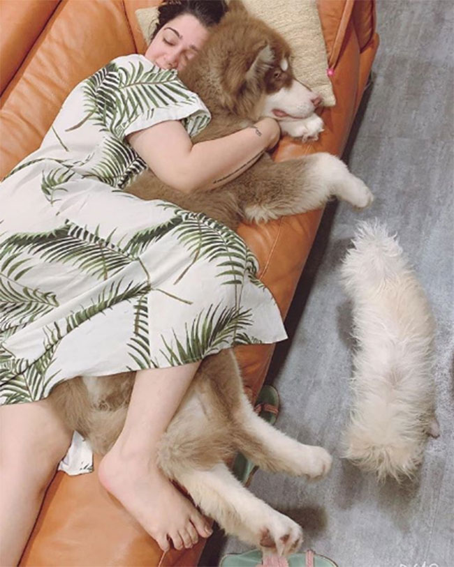 ట్రెండీ టాక్: ఛార్మి డాగ్ ఎంత పెద్దదో ట్రెండీ టాక్: ఛార్మి డాగ్ ఎంత పెద్దదో