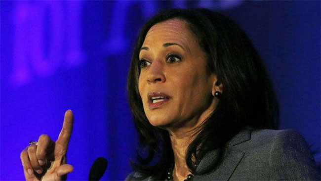 అమెరికా ఉపాధ్యక్ష పదవి బరిలో భారత సంతతి వ్యక్తి