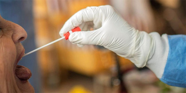 కరోనా: ర్యాపిడ్ టెస్టులతో ప్రయోజనం లేదా? కరోనా: ర్యాపిడ్ టెస్టులతో ప్రయోజనం లేదా?